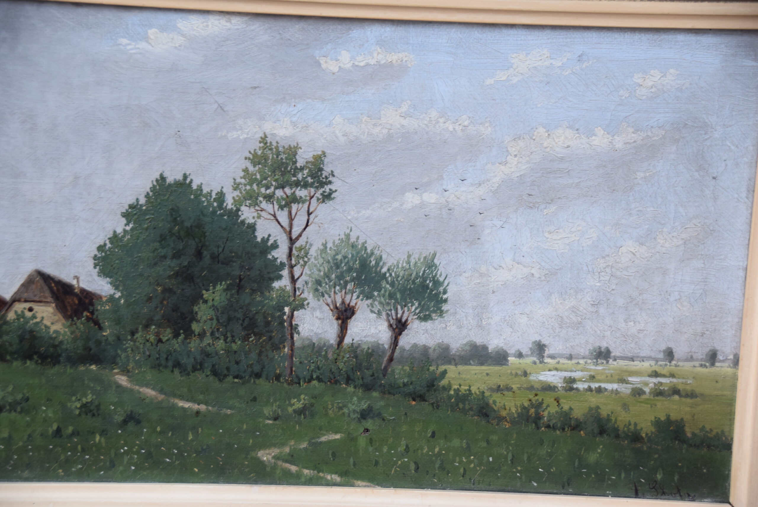 DSC_0030 DSC_0030