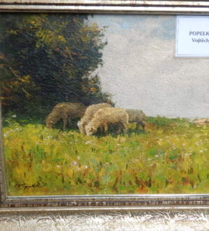 Popelka Vojtěch Hynek (1888-1971)